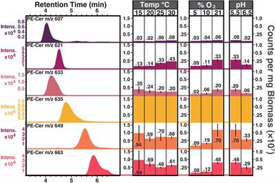 Occurrence of ceramides in the Acidobacterium Solibacter usitatus: implications for bacterial physiology and sphingolipids in soils